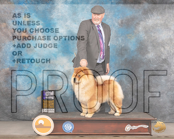 Chow Chow #16 Thurs WB Judge Denny MounceMMJ_2375_Mdlnd2022_HR3