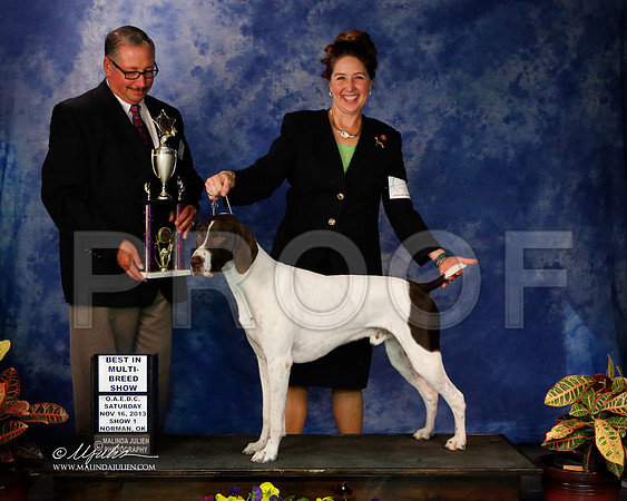 GSP-2-41-NormNov2013-HR