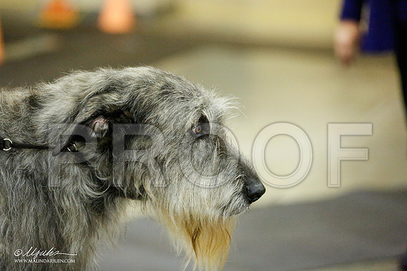 _RH_1374-BeltonJan2015IABCA-HR3