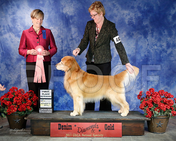 Vet-6362-WFOct2013-HR