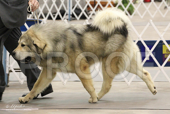 IMG_8684-Abilene2011-HR3