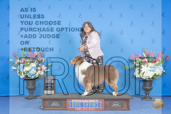 Australian Shepherd #27 FRI RWD Judge Annella Cooper__JP_9012_Houston_2024_HR3