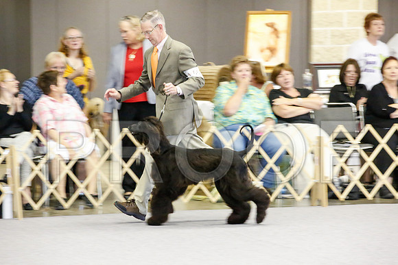 _JJ_2532-AfgBeltonOct2014-HR3