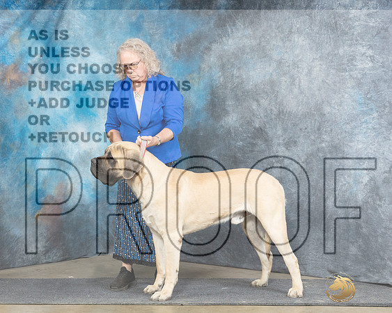 Mastiff Luper Sat-_JP_4901e_Fayetteville2024-HR3