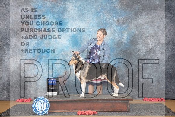 Collie Smooth #5 Sun G1 Judge Beth Dowey__JP_0934_Sulphur Springs_2024_HR3