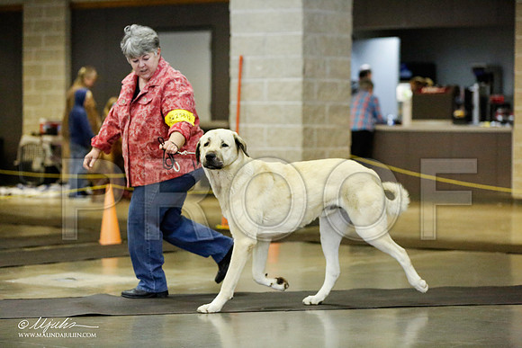 _RH_1509-BeltonJan2015IABCA-HR3