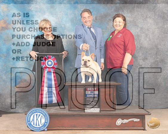 French Bulldog #7 Fri BIS Judge Peggy Beisel McIlwaine-MMJ_3441-Addison2022-HR3