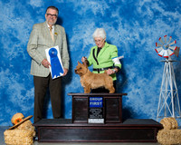 Norwich Terriers #9 Fri G1 Cato Marie Suzanne Bennett Agent Brenda Lee Combs Judge Mr James G Reynolds