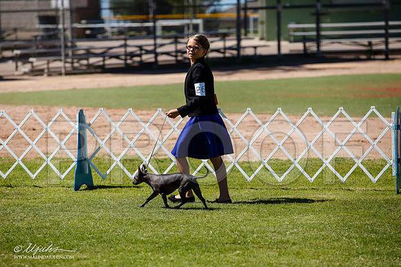 _JJ_8096-AlamogordoOct2014-HR3