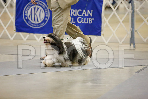 _JJ_8753-AmarilloSept2014-HR3