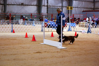 Rally Advanced B Sat Ring