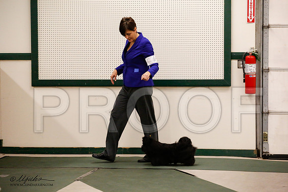 _JN_9456-NrmnNov2014-HR3
