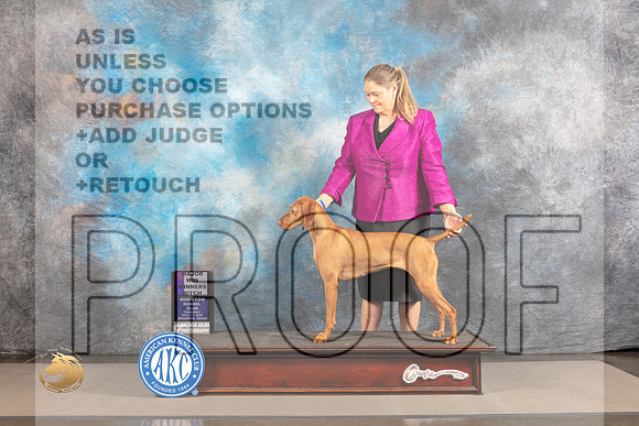 Vizsla #20 THUR WB Major Judge Timothy Catterson_MJ_3579_Houston_2022_HR3