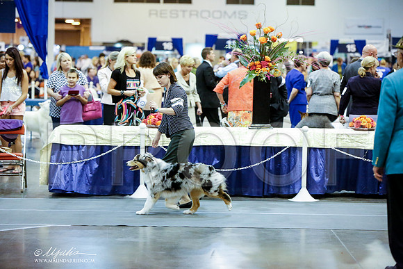 _JJ_9491-HstnJul2014-HR3