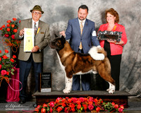 Akita #7 Fri G3 Rogers Robert & Patricia & Rick & Teresa Witte Agent Clint Livingston Judge Arley Hussin
