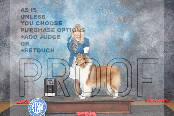 Collie Rough #6 Sun BOV Judge Beth Downey__JP_0600_Sulphur Springs_2024_HR3