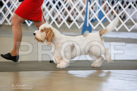 _JJ_7549-DallasJul2014-HR3