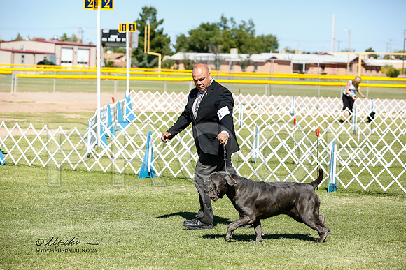 _JN_0732-AlamogordoOct2014-HR3