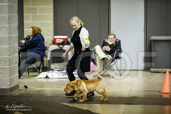 _JJ_5698-BeltonJan2015IABCA-HR3