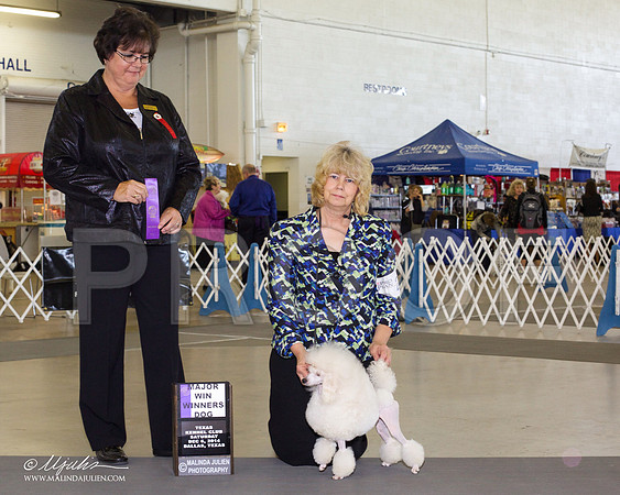 _RH_7915-DallasDec2014-HR3