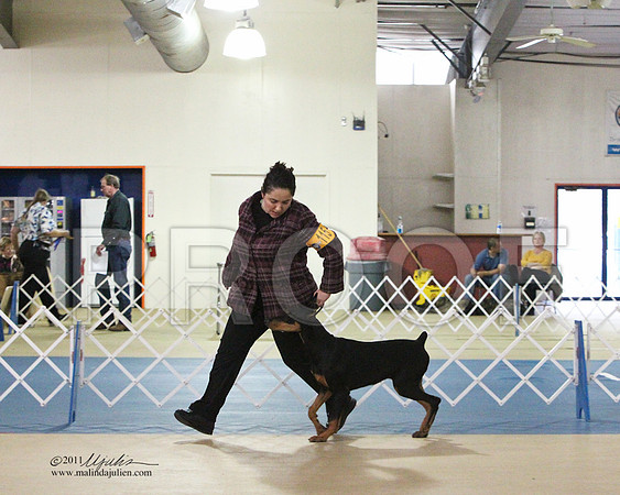 Dobe-5262LR