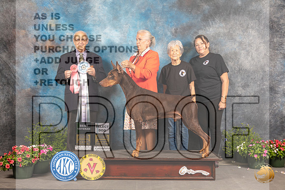 Doberman Pinscher #37 Sat SD Judge Robert Shreve_MJ_0366_SA_2022_HR3