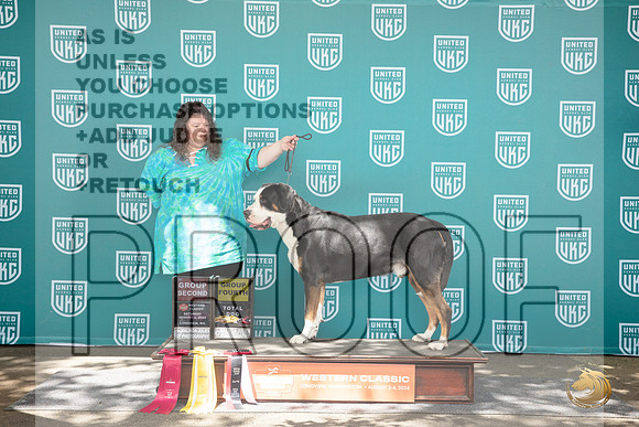 Greater Swiss Mountian Dog #242 Fri G4 TD Sat G2 No judge__JP_1875_Longview WA_2024_HR3