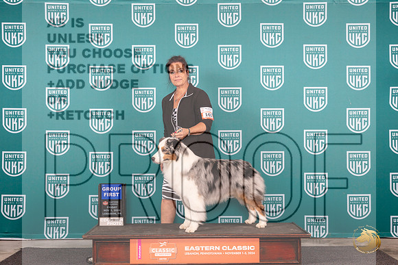 Australian Shepherd #165 Fri G1 Judge Kathy Russell__JP_1747_UKCEastern_2024_HR3