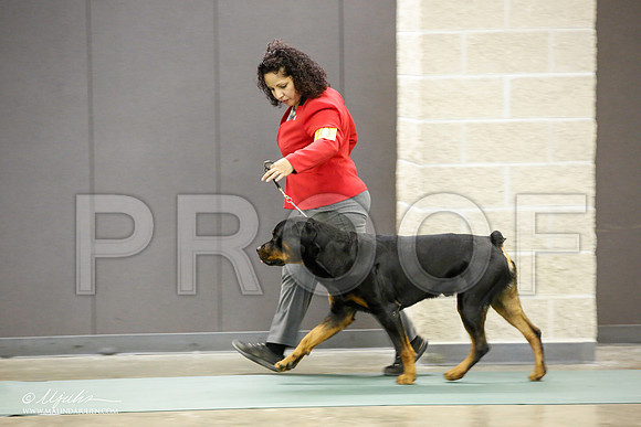 _JN_2173-BeltonJan2015-HR3