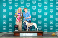Whippet #686 AG2 Judge Kathie Short