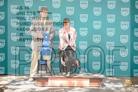 Staffordshire Bull Terrier #102 Fri G1 Judge Allan Krenek__JP_1845_Longview WA_2024_HR3