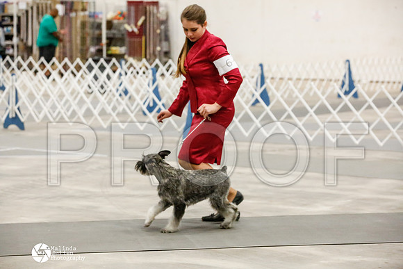 _HR_2245-AblnMay2014-web