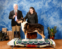 Collie Smooth #5 Sat BOW Maj +A2