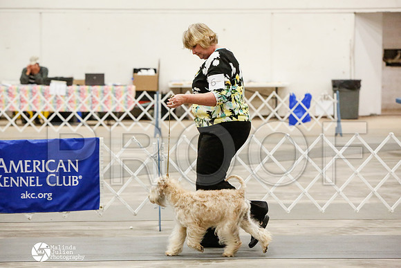 _CK_8549-AblnMay2014-web