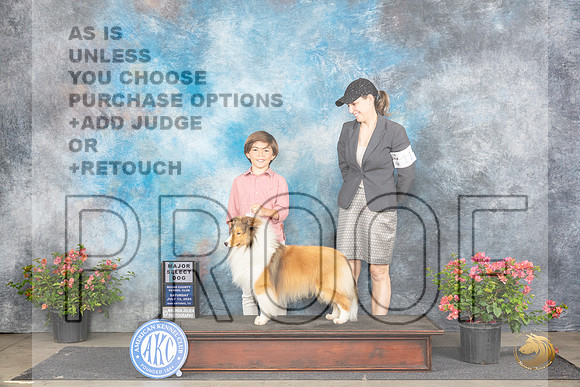 Shetland Shepdog #15 Sat SDM Judge Polly (Mrs Robert) D Smith__JP_4850_San Antonio_2024_HR3