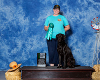 Retrievers Labrador #R22 Sun New CD Title Tronche Karin Kelly Judge Mrs Linda Scanlon