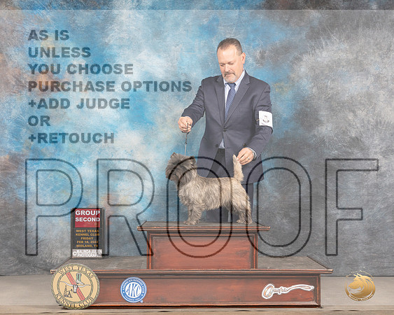 Cairn Terrier #6 Fri G2 Judge Brad JenkinsMMJ_3548_Mdlnd2022_HR3