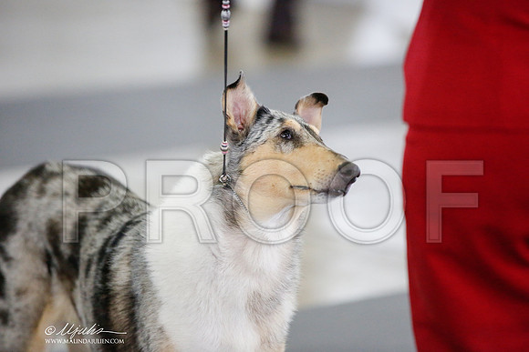 _JJ_6342-DallasJul2014-HR3
