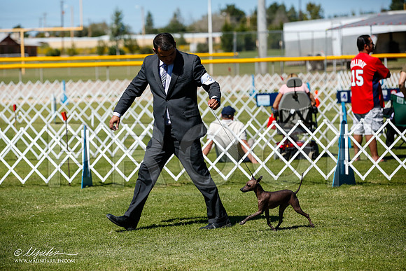 _JJ_8352-AlamogordoOct2014-HR3