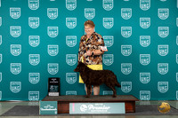 Mudi #318 Thur T10AOE Judge Kathie Short