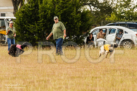 _MJ_4927-AfgBeltonOct2014-HR3