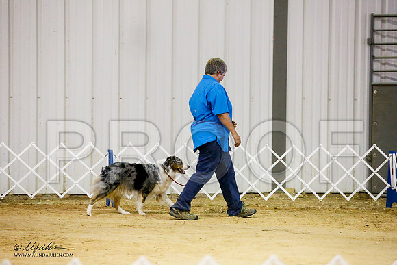 _JJ_0889-ASCACollegeStationNov2014-HR3