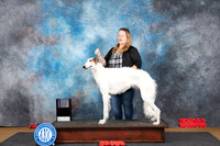 Borzoi #10 Sat RWB Judge Sidney Marx