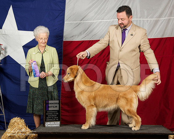 _ST_1700-AmarilloSep2014-HR3