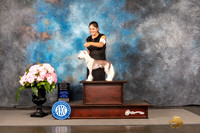 Chinese Crested #7 Sun OHG2 Judge Polly Smith