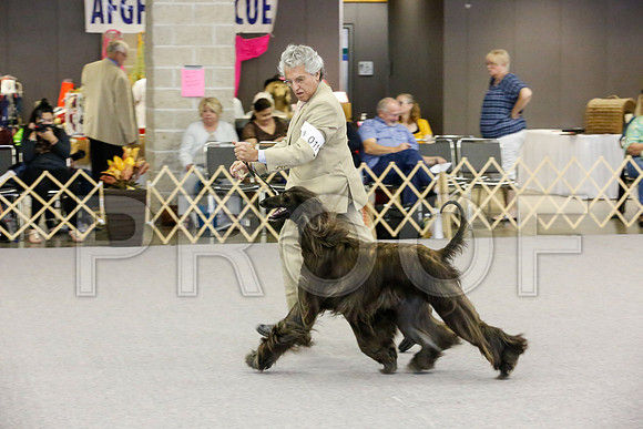 _JJ_0691-AfgBeltonOct2014-HR3
