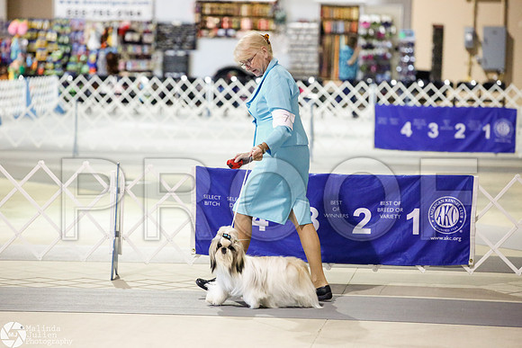 _JJ_3731-SanAntonioJul2014-HR