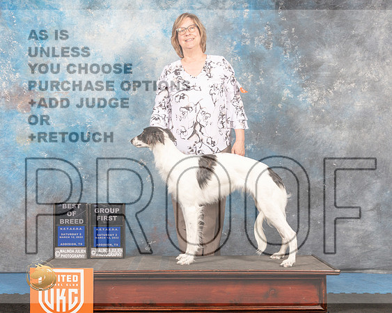 Silken Windhound #264 Sat2 G1 Judge Tracey Kallas_MMJ_6358_Addison2022_HR3