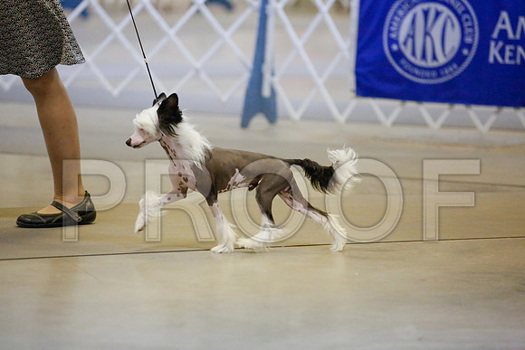 _JJ_9031-AmarilloSept2014-HR3