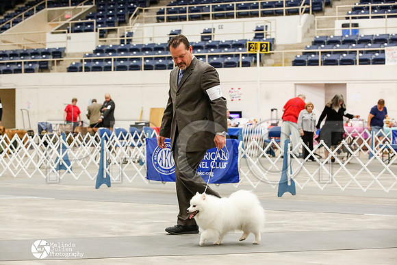 _JJ_7165-AblnMay2014-web